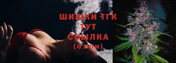 СК Балахна
