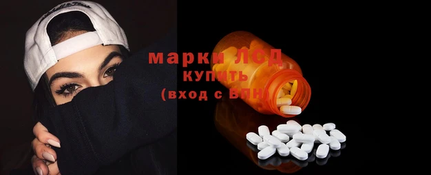 ГАЛЛЮЦИНОГЕННЫЕ ГРИБЫ Баксан