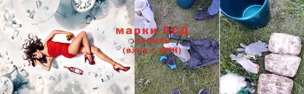 СК Балахна