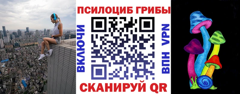 Галлюциногенные грибы Psilocybine cubensis  Барыш 